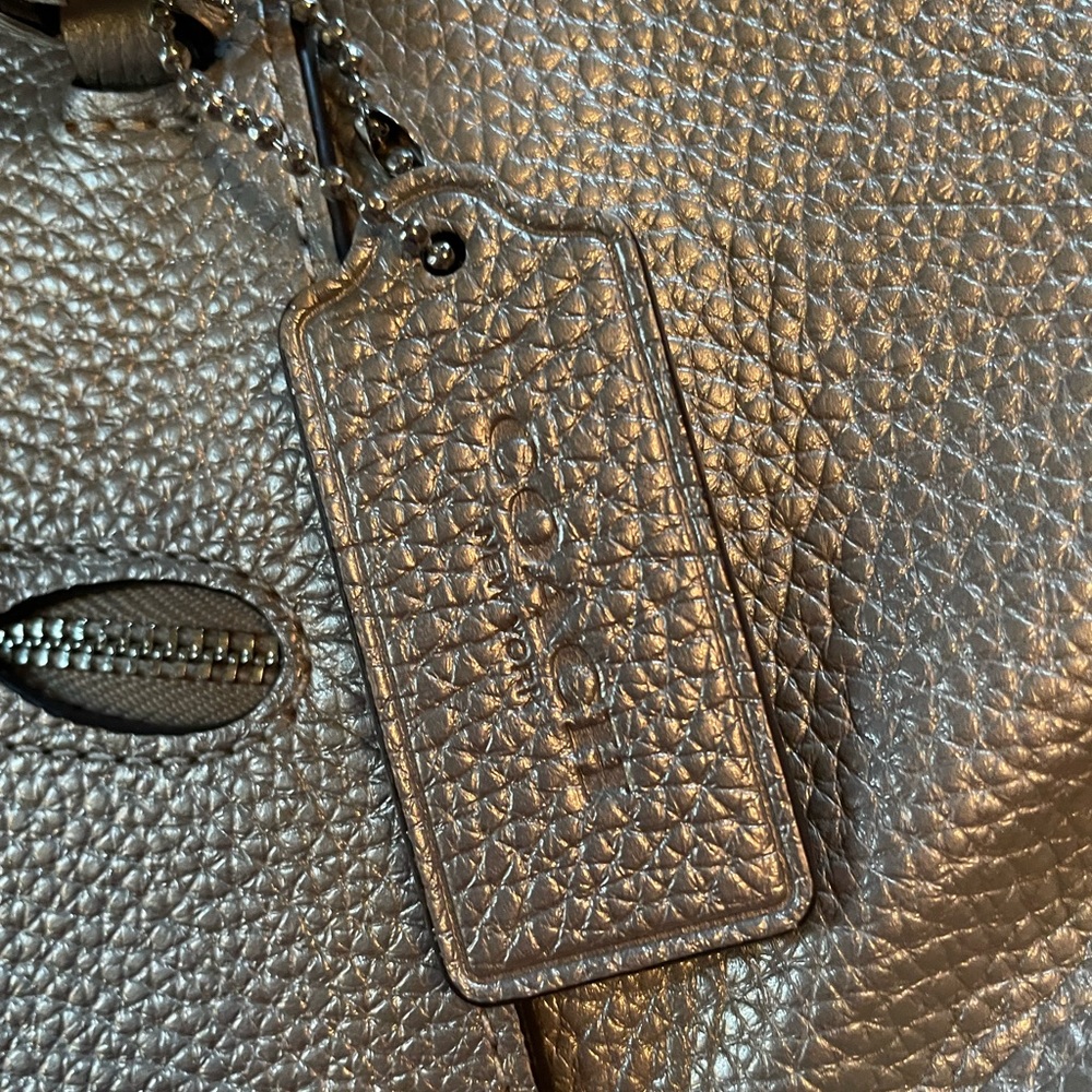NWT Coach shimmery leather crossbody or handbag in pewter color $328.00